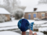 Un poisson dans la neige, la surprise de cette formation !
